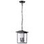 Jamesport Collection Outdoor 11 inch Hanging Light Matte Black w/ Clear Glass