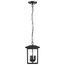 Jamesport Collection Outdoor 11 inch Hanging Light Matte Black w/ Clear Glass