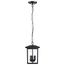 Jamesport Collection Outdoor 11 inch Hanging Light Matte Black w/ Clear Glass