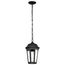 East River Collection Outdoor 14.5 inch Hanging Light Matte Black Finish w/ Clear Water Glass