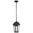 East River Collection Outdoor 14.5 inch Hanging Light Matte Black Finish w/ Clear Water Glass