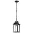 Stillwell Collection Outdoor 14 inch Hanging Light Matte Black Finish w/ Clear Water Glass