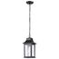 Stillwell Collection Outdoor 14 inch Hanging Light Matte Black Finish w/ Clear Water Glass