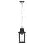 Stillwell Collection Outdoor 14 inch Hanging Light Matte Black Finish w/ Clear Water Glass