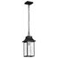 Austen Collection Outdoor 17 inch Hanging Light Matte Black Finish w/ Clear Water Glass
