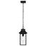 Austen Collection Outdoor 17 inch Hanging Light Matte Black Finish w/ Clear Water Glass