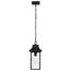 Austen Collection Outdoor 17 inch Hanging Light Matte Black Finish w/ Clear Water Glass