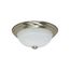 2 Light 11" Flush Mount Alabaster Glass Color retail packaging
