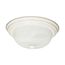 2 Light 11" Flush Mount Alabaster Glass Color retail packaging