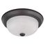 2 Light 11" Flush Mount w/ Frosted White Glass Color retail packaging