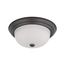 2 Light 13" Flush Mount w/ Frosted White Glass Color retail packaging