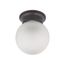 1 Light 6" Ceiling Mount w/ Frosted White Glass Color retail packaging