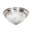 2 Light 11" Flush Mount Clear Ribbed Glass Color retail packaging