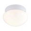 1 Light 8" Flush Mount Small White Mushroom Color retail packaging