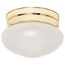 1 Light 6" Flush Mount Small Frosted Grape Mushroom Color retail packaging (Pack of 2)