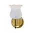 1 Light 5" Vanity w/ Frosted Grape Shade and On/Off Switch Color retail packaging