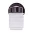 1 Light 6" Porch Wall Mason Jar w/ Frosted Glass Mahogany Bronze Finish Color retail packaging