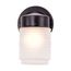 1 Light 6" Porch Wall Mason Jar w/ Frosted Glass Mahogany Bronze Finish Color retail packaging