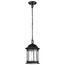 Hopkins Collection Outdoor 12 inch Hanging Lantern Matte Black Finish w/ Clear Glass