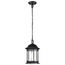 Hopkins Collection Outdoor 12 inch Hanging Lantern Matte Black Finish w/ Clear Glass