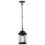 Hopkins Collection Outdoor 12 inch Hanging Lantern Matte Black Finish w/ Clear Glass