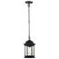 Hopkins Collection Outdoor 12 inch Hanging Lantern Matte Black Finish w/ Clear Glass