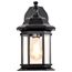 Hopkins Outdoor Collection 13 inch Large Wall Light Matte Black Finish w/ Clear Glass