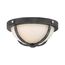 2 Light Sherwood Flush Mount Fixture Iron Black w/ Brushed Nickel Accents Finish Frosted Etched Glass