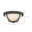 2 Light Sherwood Flush Mount Fixture Iron Black w/ Brushed Nickel Accents Finish Frosted Etched Glass