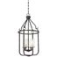 4 Light Sherwood Caged Pendant Iron Black w/ Brushed Nickel Accents Finish Clear Glass Lamps Included