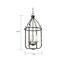 4 Light Sherwood Caged Pendant Iron Black w/ Brushed Nickel Accents Finish Clear Glass Lamps Included