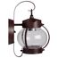 1 Light 11" Wall Lantern Onion Lantern w/ Clear Seed Glass