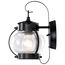 1 Light 11" Wall Lantern Onion Lantern w/ Clear Seed Glass