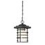 Lansing 1 Light Outdoor Hanging Lantern w/ Etched Glass