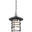 Lansing 1 Light Outdoor Hanging Lantern w/ Etched Glass