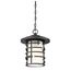 Lansing 1 Light Outdoor Hanging Lantern w/ Etched Glass