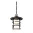 Lansing 1 Light Outdoor Hanging Lantern w/ Etched Glass