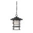 Lansing 1 Light Outdoor Hanging Lantern w/ Etched Glass