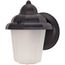 1 Light 9" Wall Lantern Hood Lantern w/ Satin Frosted Glass