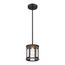 Payne 1 Light Mini Pendant w/ Clear Beveled Glass