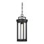 Huron 1 Light Hanging Lantern Aged Bronze Finish w/ Clear Glass