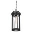 Huron 1 Light Hanging Lantern Aged Bronze Finish w/ Clear Glass
