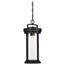 Huron 1 Light Hanging Lantern Aged Bronze Finish w/ Clear Glass