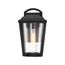 Lakeview 1 Light Small Lantern Aged Bronze Finish w/ Clear Seed Glass