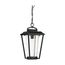 Lakeview 1 Light Hanging Lantern Aged Bronze Finish w/ Clear Seed Glass