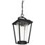 Lakeview 1 Light Hanging Lantern Aged Bronze Finish w/ Clear Seed Glass