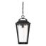 Lakeview 1 Light Hanging Lantern Aged Bronze Finish w/ Clear Seed Glass