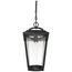 Lakeview 1 Light Hanging Lantern Aged Bronze Finish w/ Clear Seed Glass