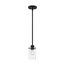 Sommerset 1 Light Mini Pendant Fixture Matte Black Finish w/ Clear Glass