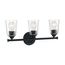 Bransel 3 Light Vanity Fixture Matte Black Finish w/ Clear Seeded Glass
